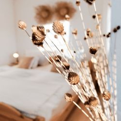 Seiffen Ferienwohnung Pension