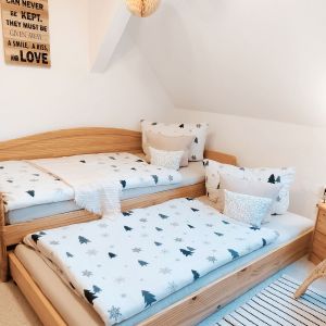 Seiffen Ferienwohnung Panorama