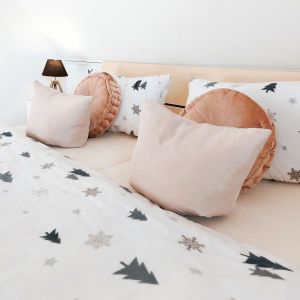 Seiffen Ferienwohnung Panorama