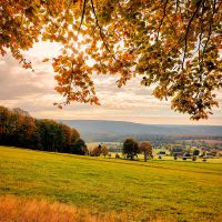 Seiffen Garten Erzgebirge