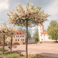 Seiffen Garten Erzgebirge