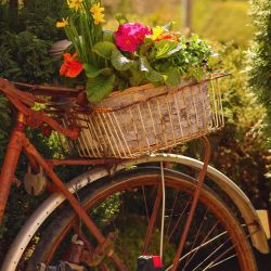 Seiffen Ferienwohnung Pension