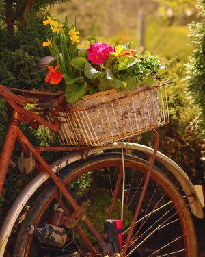 Seiffen Ferienwohnung Terrasse