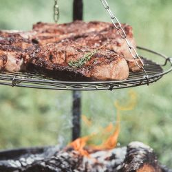Ferienwohnung Seiffen Grillen Pension