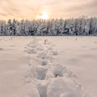 Seiffen Ferienwohnung Winter